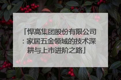悍高集团股份有限公司：家居五金领域的技术深耕与上市进阶之路